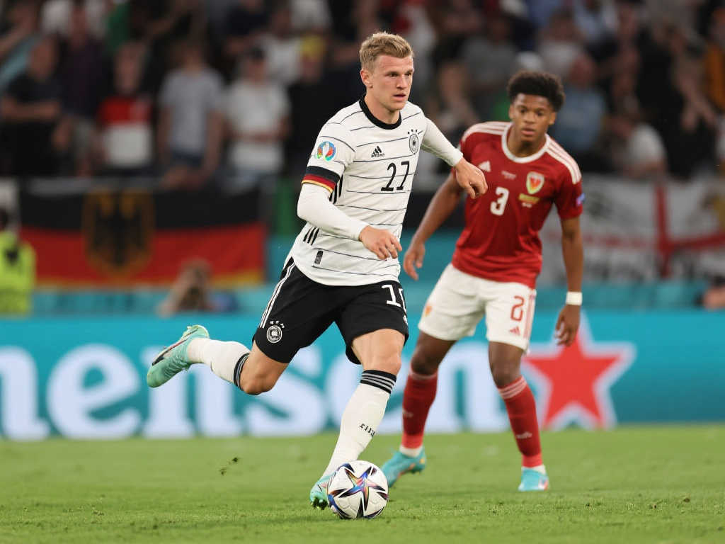 但近年来其 但近年来其